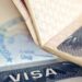 Capago International ouvre les rendez-vous en Algérie