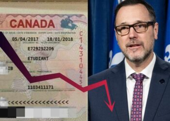 Visas étudiant : Le Québec annonce une très mauvaise nouvelle