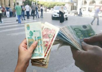 Voici le prix de 100 euros en dinar algérien sur le marché noir