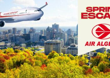 Alger – Montréal  : Air Algérie lance une promo spéciale