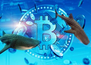 Bitcoin : un signal fort bouleverse les marchés