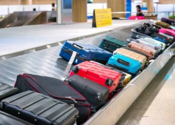 Vol de bagages à l’aéroport d’Alger : deux agents filmés en flagrant délit
