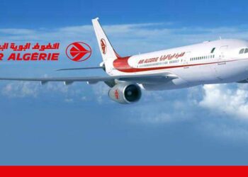L'offre Otla 2.0 d'Air Algérie toujours disponibles, voici les détails