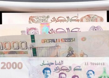 Dinar algérien : la banque d'Algérie cible les circuits informels