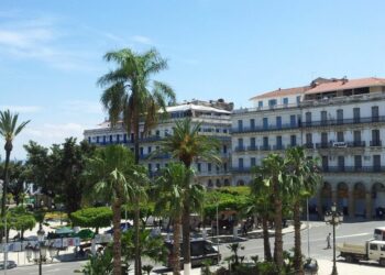 Le marché de devises du square d'Alger va bientôt disparaître