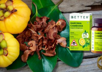 Vendu en Algérie, Garcinia cambogia interdit en France