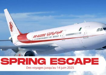 Air Algérie propose des aller-retour avec la France à moins de 200 euros