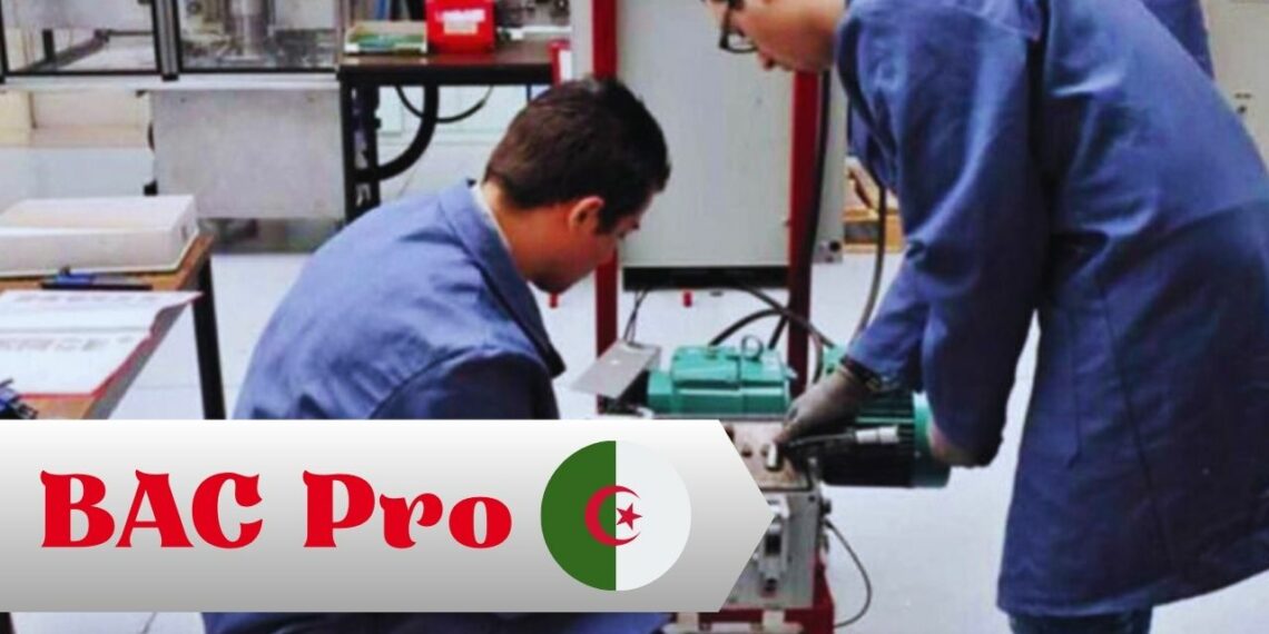 Voici les 5 spécialités du BAC Pro en Algérie 