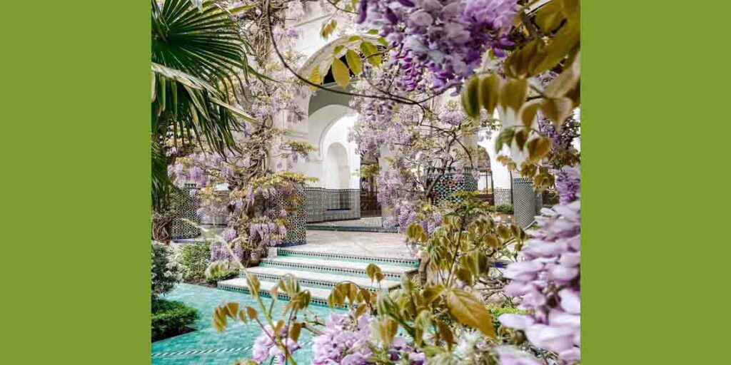 Grande mosquée de paris
