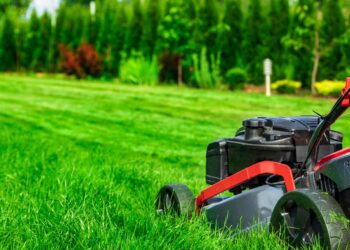Est-il vraiment interdit de tondre son jardin en France ?