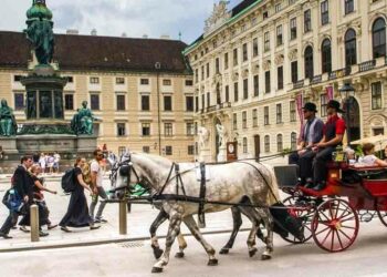 Air Algérie fait son grand retour après 5 ans d'absence