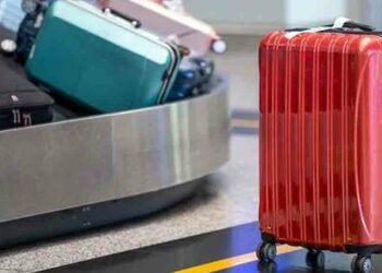 Bagages : un record enregistré à l'aéroport d'Alger