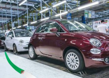 Fiat Algérie : vers la baisse des prix des voitures