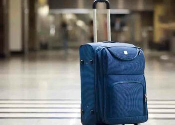 Vol de bagages à l'aéroport d'Alger : un voyageur arrêté par la PAF