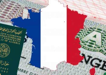 Visa France pour les Algériens : prés de 10 000 dossiers falsifiés